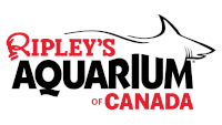 RIPLEY'S AQUARIUM OF CANADA